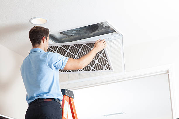 Best HVAC air duct cleaning  in Meadowdale, WA